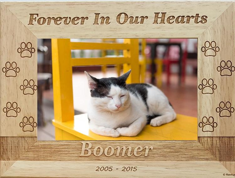 Cat Memorial Picture Frame Personalized